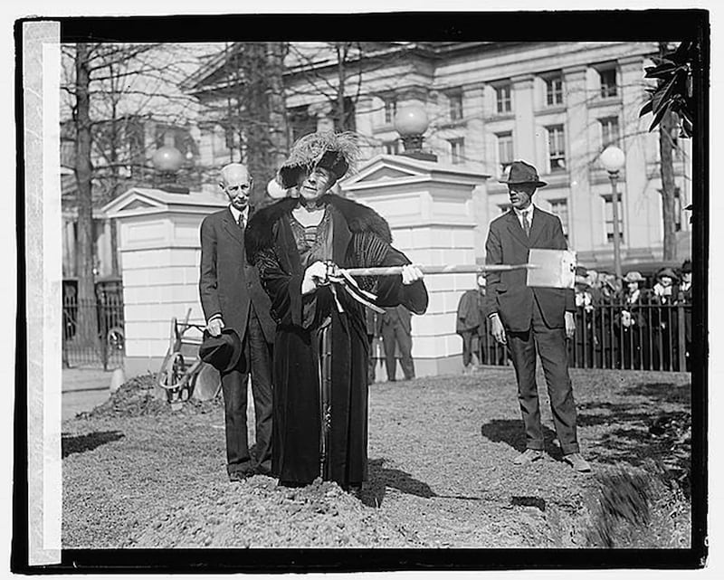 First Lady Florence Harding holds a small shovel at the 1922 planting ceremony.